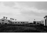 Φωτογραφία Στούντιο - Φάνης Λογοθέτης