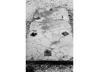 Φωτογραφία Στούντιο - Φάνης Λογοθέτης