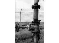 Φωτογραφία Στούντιο - Φάνης Λογοθέτης