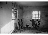 Φωτογραφία Στούντιο - Φάνης Λογοθέτης