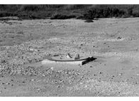 Φωτογραφία Στούντιο - Φάνης Λογοθέτης