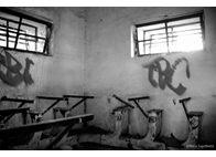 Φωτογραφία Στούντιο - Φάνης Λογοθέτης