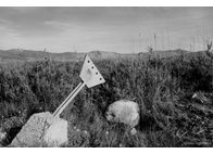 Φωτογραφία Στούντιο - Φάνης Λογοθέτης