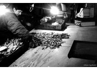 Φωτογραφία Στούντιο - Φάνης Λογοθέτης