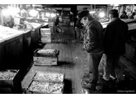 Φωτογραφία Στούντιο - Φάνης Λογοθέτης