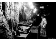 Φωτογραφία Στούντιο - Φάνης Λογοθέτης