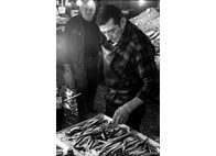 Φωτογραφία Στούντιο - Φάνης Λογοθέτης