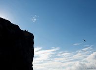 Φωτογραφία Στούντιο - Φάνης Λογοθέτης