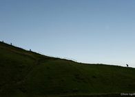 Φωτογραφία Στούντιο - Φάνης Λογοθέτης