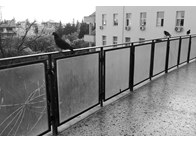 Φωτογραφία Στούντιο - Φάνης Λογοθέτης