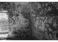 Φωτογραφία Στούντιο - Φάνης Λογοθέτης