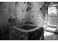 Φωτογραφία Στούντιο - Φάνης Λογοθέτης